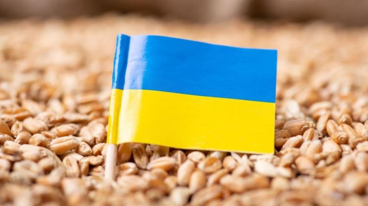 Ουκρανία: Πώς η κρίση θα βουλιάξει την παγκόσμια αγορά τροφίμων