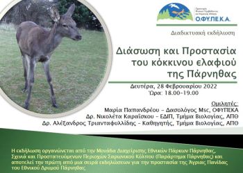 Διαδικτυακή εκδήλωση για το ελάφι της Πάρνηθας