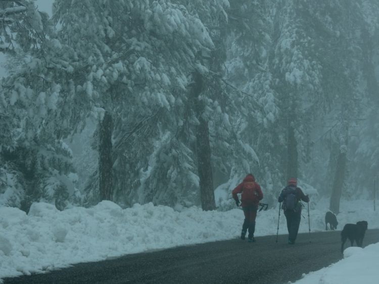 Έκτακτο Δελτίο επιδείνωσης καιρού από την ΕΜΥ – Έρχονται ισχυρές χιονοπτώσεις το επόμενο τριήμερο Έκτακτο Δελτίο επιδείνωσης καιρού από την ΕΜΥ – Έρχονται ισχυρές χιονοπτώσεις το επόμενο τριήμερο
