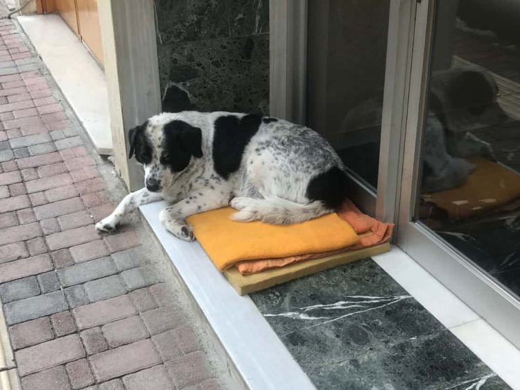 Όσο υπάρχουν άνθρωποι, υπάρχει ελπίδα Όσο υπάρχουν άνθρωποι, υπάρχει ελπίδα.