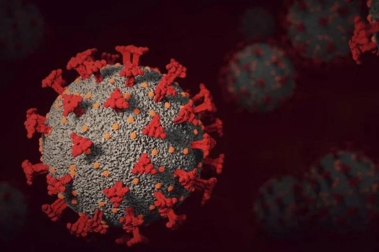 «Γιατί ξανακόλλησα Covid»: Η ανοσία της Όμικρον αλλάζει τα δεδομένα «Γιατί ξανακόλλησα Covid»: Η ανοσία της Όμικρον αλλάζει τα δεδομένα