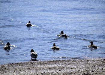 Καιρός Σήμερα: Αίθριος με αραιές νεφώσεις και μικρή άνοδος της θερμοκρασίας