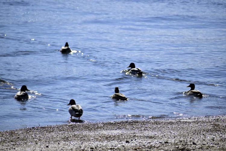 Καιρός Σήμερα: Αίθριος με αραιές νεφώσεις και μικρή άνοδος της θερμοκρασίας