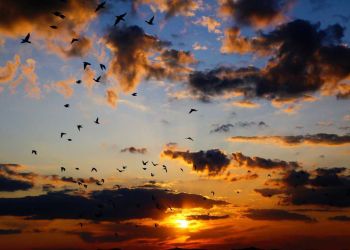 Καιρός Σήμερα: Νεφώσεις με τοπικές βροχές