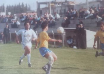 Ντίνου Τεκτονίδ