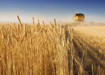 Ποια τρόφιμα θα ανατιμηθούν