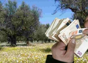 Συστάθηκε το Ταμείο Μικρών Δανείων Αγροτικής Επιχειρηματικότητας