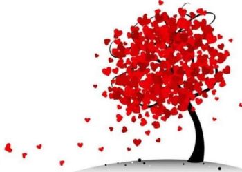 Τα μέλη του Α.Π.Σ. Δρομέων Ν. Πιερίας “ΖΕΥΣ” σε