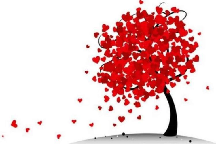 Τα μέλη του Α.Π.Σ. Δρομέων Ν. Πιερίας “ΖΕΥΣ” σε