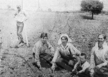 Το έθιμο «πιπιρούνα» στην παλαιά Λεπτοκαρυά