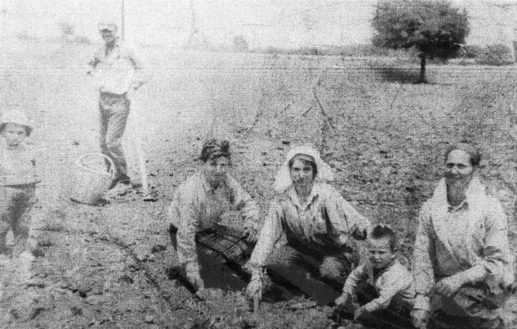 Το έθιμο «πιπιρούνα» στην παλαιά Λεπτοκαρυά