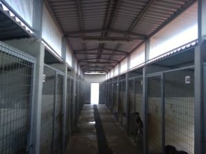 Παρεμβάσεις στο καταφύγιο αδέσποτων ζώων