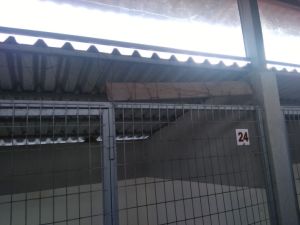 Δήμος Κατερίνης: Παρεμβάσεις στο καταφύγιο αδέσποτων ζώων