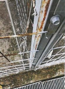 Παρεμβάσεις στο καταφύγιο αδέσποτων ζώων