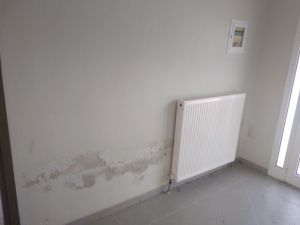 Παρεμβάσεις στο καταφύγιο αδέσποτων ζώων