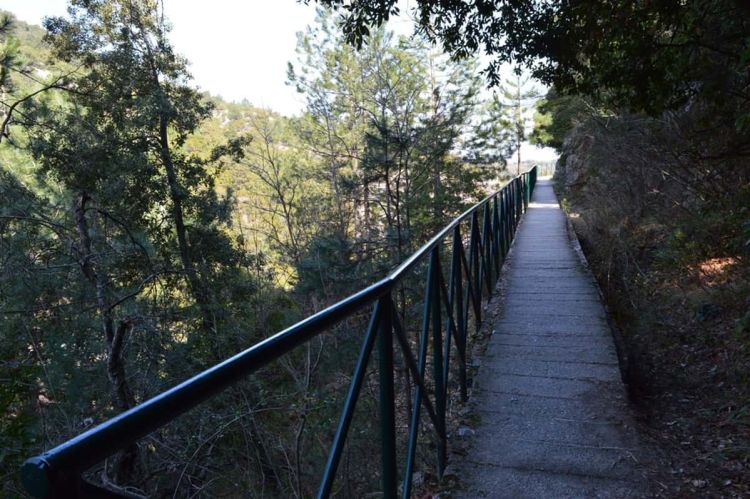 O Φύλακας – Άγγελος του  Ολύμπου