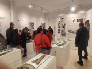 Επίσκεψη (Ελεύθερη είσοδος) Πολιτών στο Εκθετήριο του «ΜΑΣΤΟΔΟΝΤΑΣ – ΝΕΟΚΑΙΣΑΡΕΙΑ»