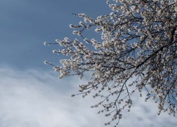 Καιρός Σήμερα: Γενικά αίθριος με αραιές νεφώσεις Καιρός Σήμερα: Γενικά αίθριος με αραιές νεφώσεις