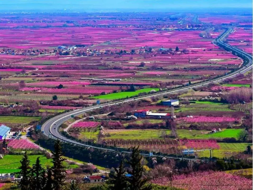 Ο ρομαντικός κάμπος της Βέροιας Ο ρομαντικός κάμπος της Βέροιας