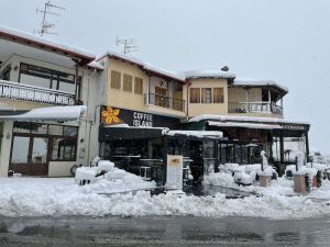 Πυκνό χιόνι  έπεσε από χθες βράδυ στο Λιτόχωρο. 