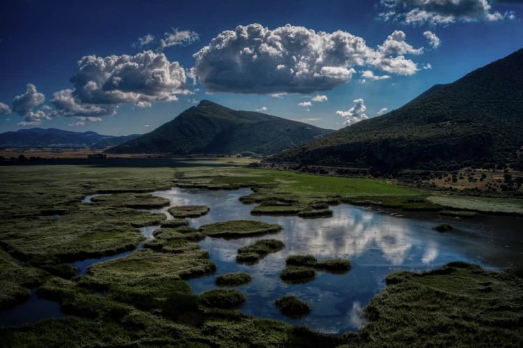 Δημιουργία Πληροφοριακού Συστήματος για τη βιοποικιλότητα της Ελλάδας Δημιουργία Πληροφοριακού Συστήματος για τη βιοποικιλότητα της Ελλάδας