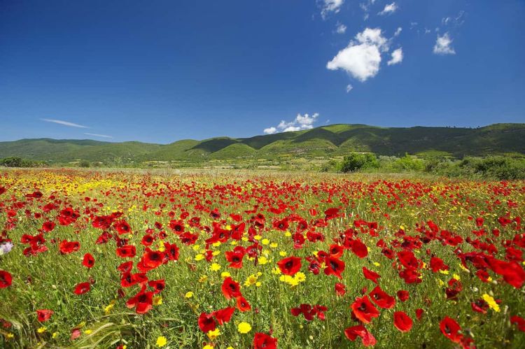 Τώρα που είναι άνοιξη