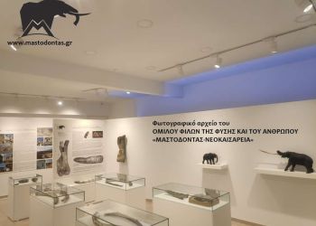 Δήμος Κατερίνης – 1ο Φεστιβάλ Πάρκου: Το εκθετήριο του Μαστόδοντα Νεοκαισάρειας συναντά το «Πάρκο των Δεινοσαύρων»