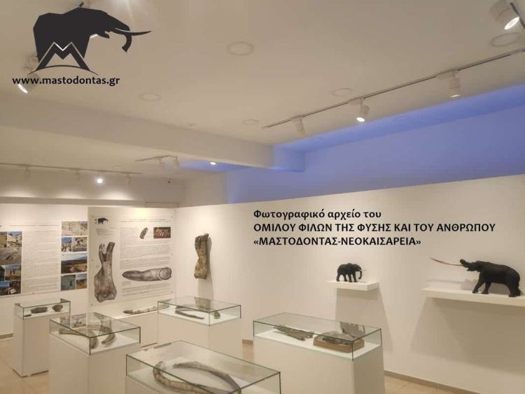 Δήμος Κατερίνης – 1ο Φεστιβάλ Πάρκου: Το εκθετήριο του Μαστόδοντα Νεοκαισάρειας συναντά το «Πάρκο των Δεινοσαύρων»