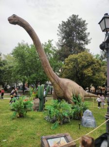 Δήμος Κατερίνης – Φεστιβάλ Πάρκου: Εντυπωσιακή η προσέλευση κόσμου την πρώτη μέρα του Φεστιβάλ