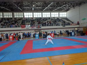 Δήμος Κατερίνης: Λάμψη των κορυφαίων καρατέκα Εφήβων – Νεανίδων στην Κατερίνη