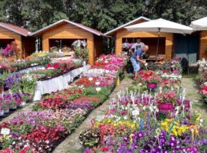 Εθελοντές Καπνικού Σταθμού – δίνουν υπεραξία στην πόλη μας