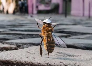 Η αναγκαιότητα προστασίας των μελισσών από ψεκασμούς