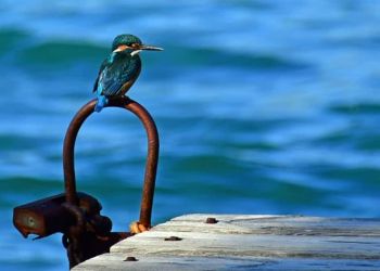 Καιρός Σήμερα: Αίθριος με μικρή άνοδος της θερμοκρασίας Καιρός Σήμερα: Αίθριος με μικρή άνοδος της θερμοκρασίας