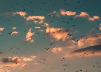 Καιρός Σήμερα: Νεφώσεις και βροχές με μικρή άνοδο της θερμοκρασίας για σήμερα Μεγάλη Τετάρτη Καιρός Σήμερα: Νεφώσεις και βροχές με μικρή άνοδο της θερμοκρασίας για σήμερα Μεγάλη Τετάρτη