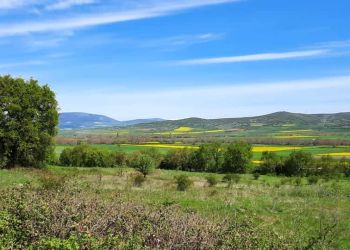 Όλα είναι όψιμα φέτος Όλα είναι όψιμα φέτος