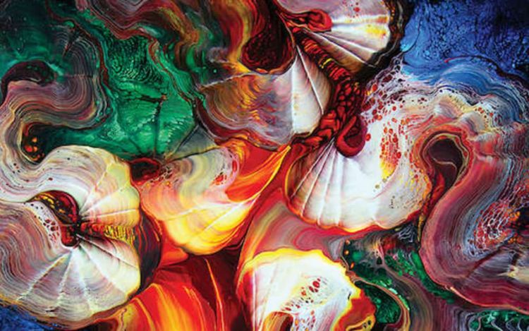 Πιερία: 104 κρούσματα – Κορονοϊός: 8.223 κρούσματα σήμερα, 77 θάνατοι, 329 διασωληνωμένοι