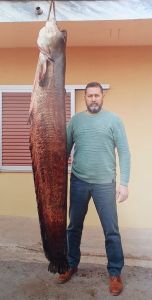 Τεράστιος Γουλιανός βάρους 87 κιλών στον Αλιάκμονα