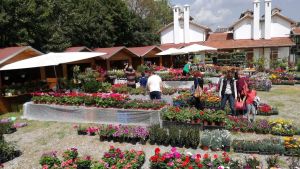 Αρχές Μαΐου η Ανθοκομική Έκθεση