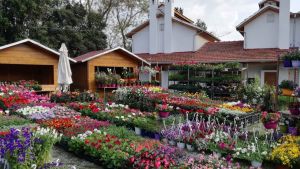 Αρχές Μαΐου η Ανθοκομική Έκθεση