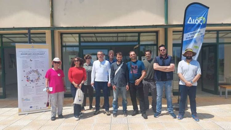 Έντομα επικονιαστές: Αναγνωρίζοντας τους επικονιαστές του Ολύμπου