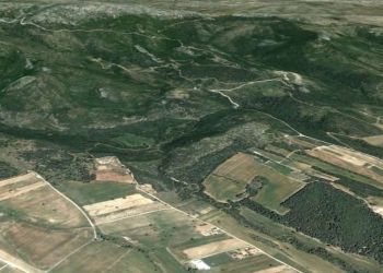 Δασικοί χάρτες: Στις 31 Μαΐου λήγει η προθεσμία υποβολής αντιρρήσεων κατά του περιεχομένου των δασικών χαρτών.