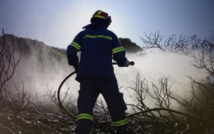 Κατερίνη: Διοικητικό πρόστιμο για φωτιά σε χωράφι Διοικητικό πρόστιμο για πυρκαγιά στην Πιερία