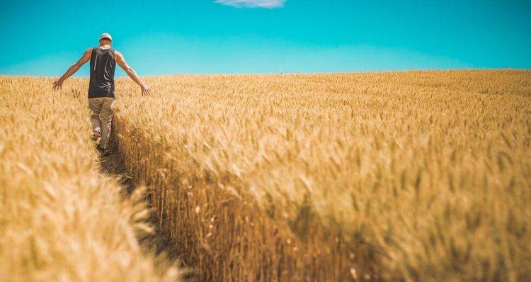 Η γεωργία εξευγενίζει τον άνθρωπο, τον οπλίζει με υπομονή, ταπείνωση και φιλοπατρία Η γεωργία εξευγενίζει τον άνθρωπο, τον οπλίζει με υπομονή, ταπείνωση και φιλοπατρία