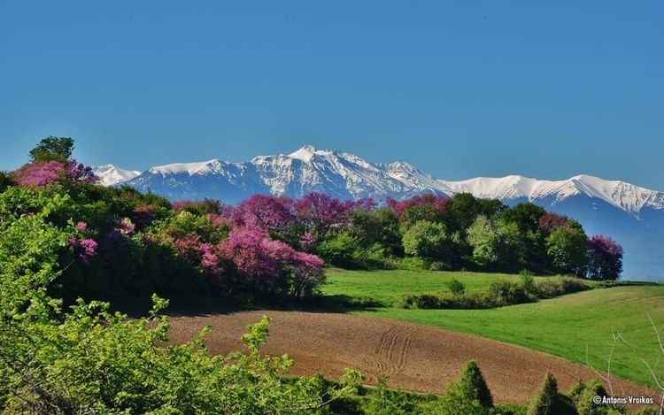 Η ομορφιά της φύσης στην ασχήμια της κοινωνίας