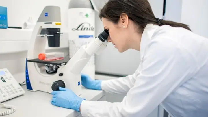 Μπορεί η ευλογιά των πιθήκων να εξελιχτεί σε νέα πανδημία; Τι λέει ο ΕΟΔΥ Μπορεί η ευλογιά των πιθήκων να εξελιχτεί σε νέα πανδημία; Τι λέει ο ΕΟΔΥ