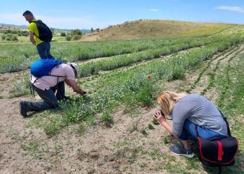 Ο Όλυμπος των χρωμάτων και των αρωμάτων «πόζαρε» σε δεκάδες φωτογράφους
