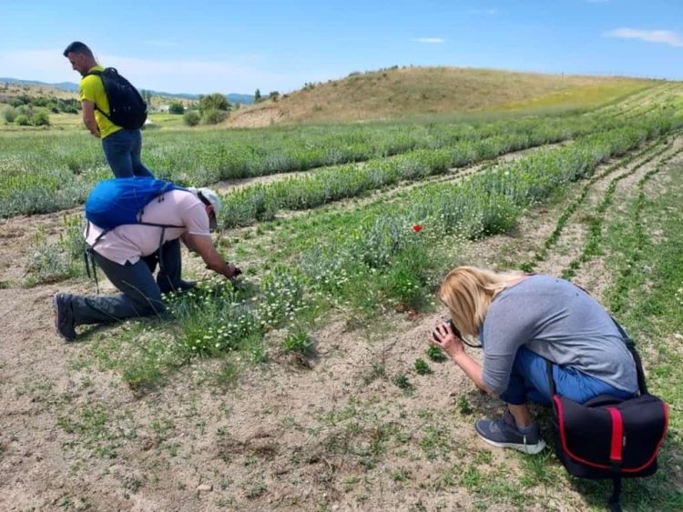 Ο Όλυμπος των χρωμάτων και των αρωμάτων «πόζαρε» σε δεκάδες φωτογράφους