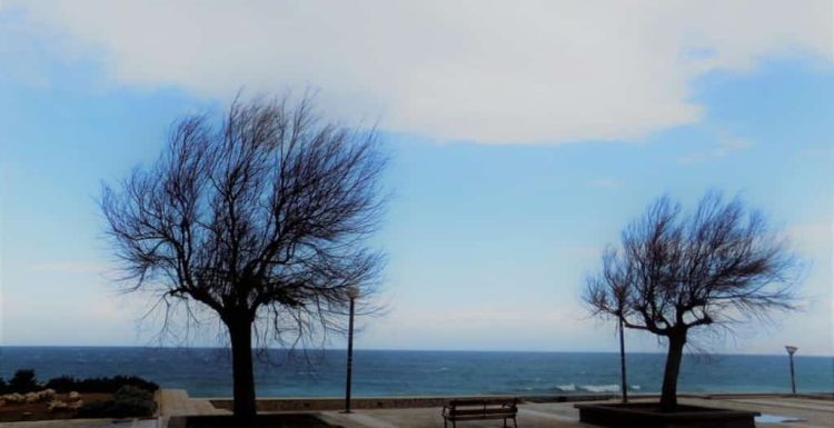 Ο Καιρός Σήμερα: Αίθριος με αραιή συννεφιά και με βροχές το απόγευμα Ο Καιρός Σήμερα: Αίθριος με αραιή συννεφιά και με βροχές το απόγευμα