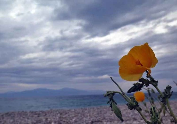 Ο Καιρός Σήμερα: Αίθριος με παροδικές νεφώσεις και ζέστη