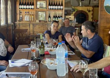 Πιερική Αναπτυξιακή: